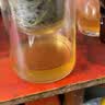 飘逸壶泡茶壶耐热高温玻璃沏茶过滤内胆冲茶器家用茶具套装 飘逸杯500mL1个 实拍图