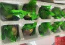 瑾贝13天金凤活珠子五香味50g*20枚新鲜开袋即食加蘸料钢化蛋熟鸡胚蛋 实拍图