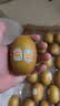 佳沛（zespri）新西兰金奇异果22粒巨大原箱146-175g猕猴桃水果礼盒 实拍图