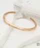 丹尼尔惠灵顿（DanielWellington）dw手镯女保价11.11星辰玫瑰金小号手镯情侣款531 实拍图