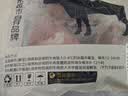 鲜京采惠选 国产山东黄牛原切牛腿肉净重3斤 烧烤炖煮 实拍图