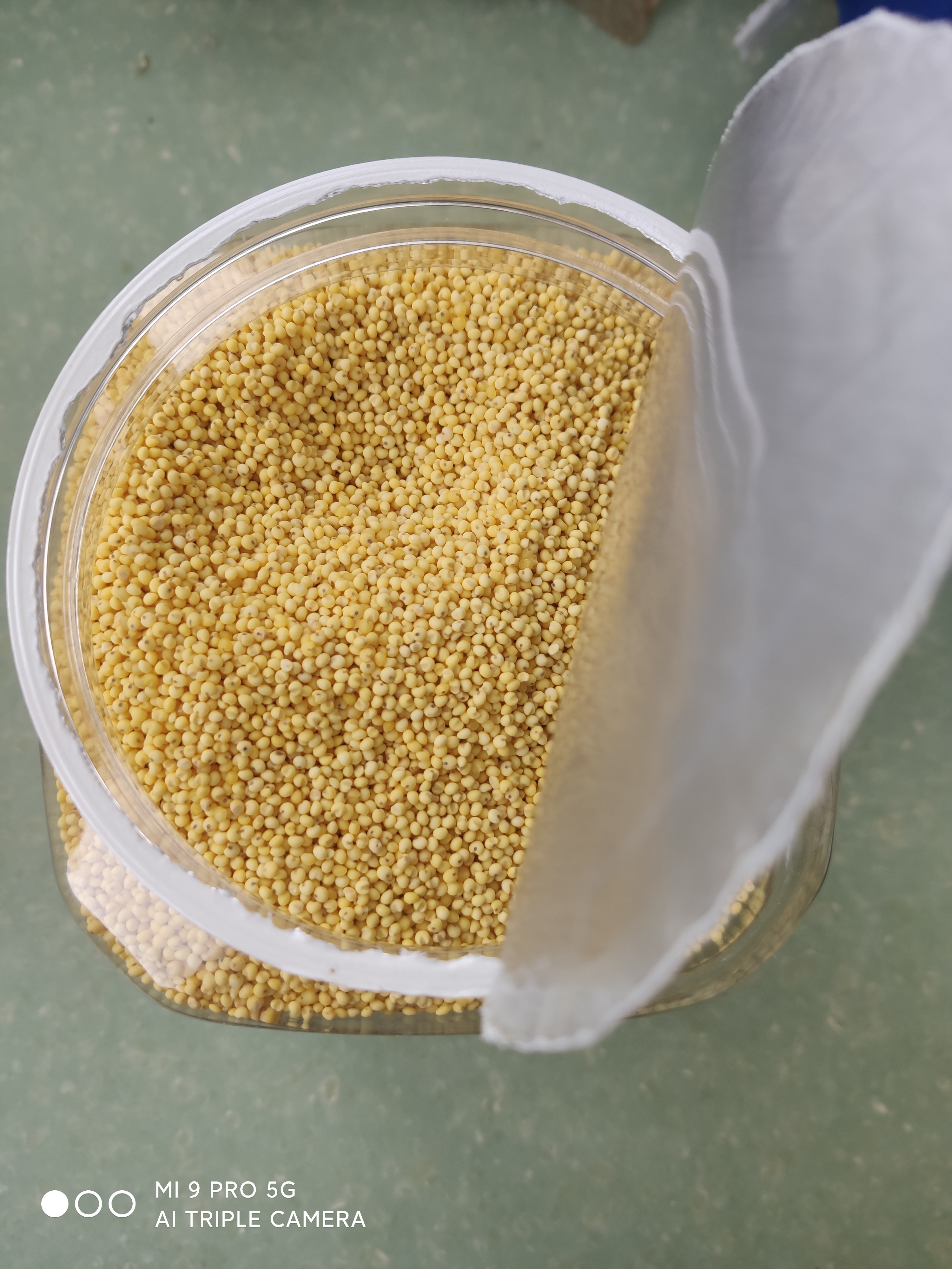 硃碌科 有机大黄米3斤罐装 黍米黄粘米黄豆包粽子粘豆包粘食原料 实拍图