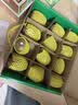 佳沛（zespri）新西兰金奇异果12粒特大果124-146g猕猴桃水果礼盒 实拍图