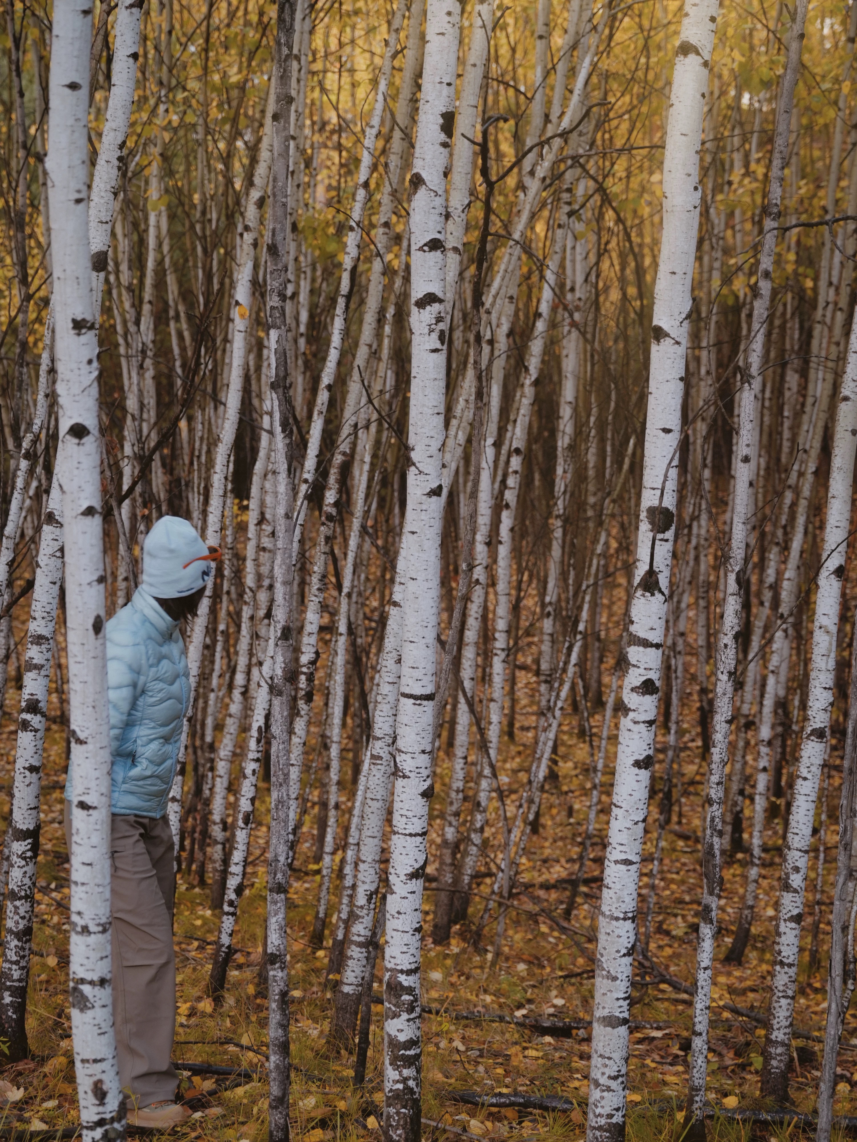 Naturehike挪客美利奴羊毛保暖针织帽女冷帽2026秋冬户外徒步登山毛线帽子男 晒单实拍图
