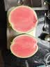 京鲜生 无籽麒麟大西瓜 1粒装 10-14斤 新鲜水果 实拍图
