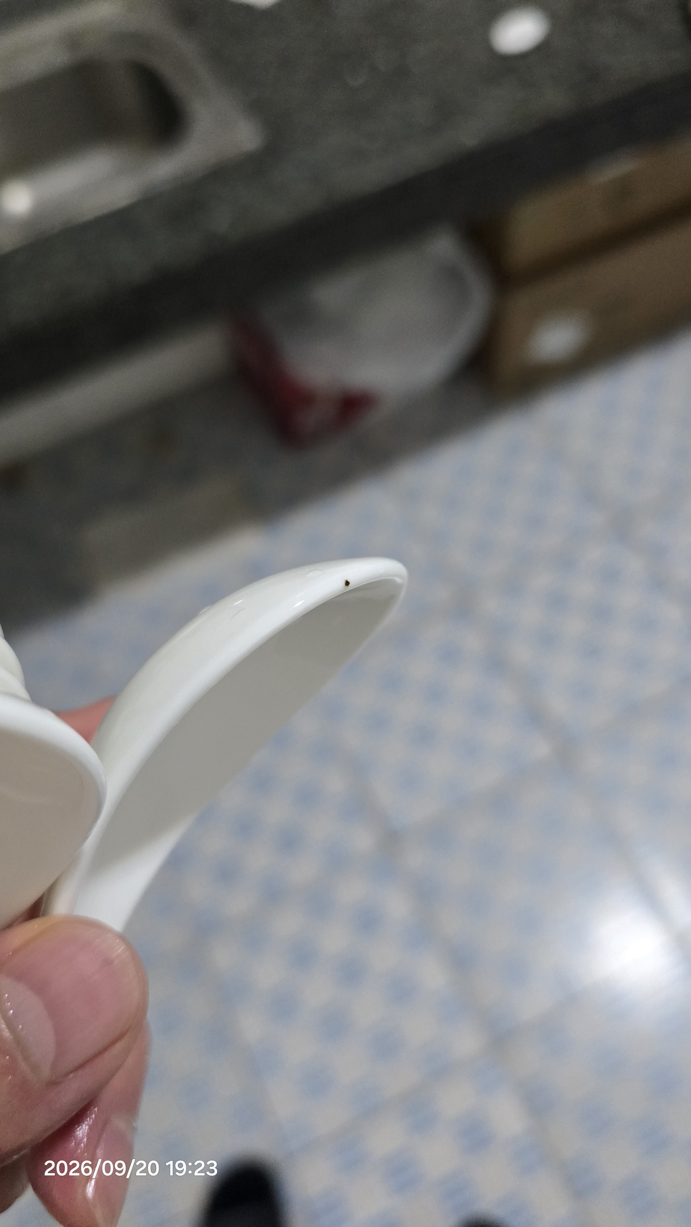 万享景德镇高温餐具套装陶瓷碗具碗碟整套家用碗筷乔迁之喜瓷器纯白36 实拍图