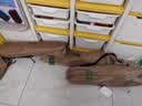 原始人（The Primitive）户外折叠椅露营椅子躺椅便携折叠月亮椅小凳子折叠凳钓鱼凳 【一桌四椅】经典款卡其*4+120木色蛋卷桌 实拍图