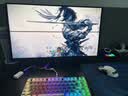 ROG魔导士Ace 75HE V2X有线游戏键盘 磁轴键盘HFX V2X磁轴RT0.01电竞机械键盘小蜜蜂冠军战队同款黑色 实拍图
