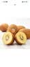 佳沛（zespri）x1号会员店联名款阳光金奇异果24粒礼盒单果约103-124g水果猕猴桃 实拍图