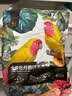 开元鹦鹉饲料小太阳鹦鹉专用无壳粮混合种子粮不吹壳无壳金太鸟食粮食 实拍图