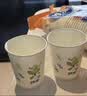 妙洁纸杯 100只*228ML 加厚挺食品级商务办公用品咖啡一次性茶水杯子 实拍图
