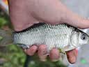 熊火鱼竿支架2.4米升级地插不锈钢炮台支架可拆卸钓鱼支架钓椅/箱架杆 实拍图