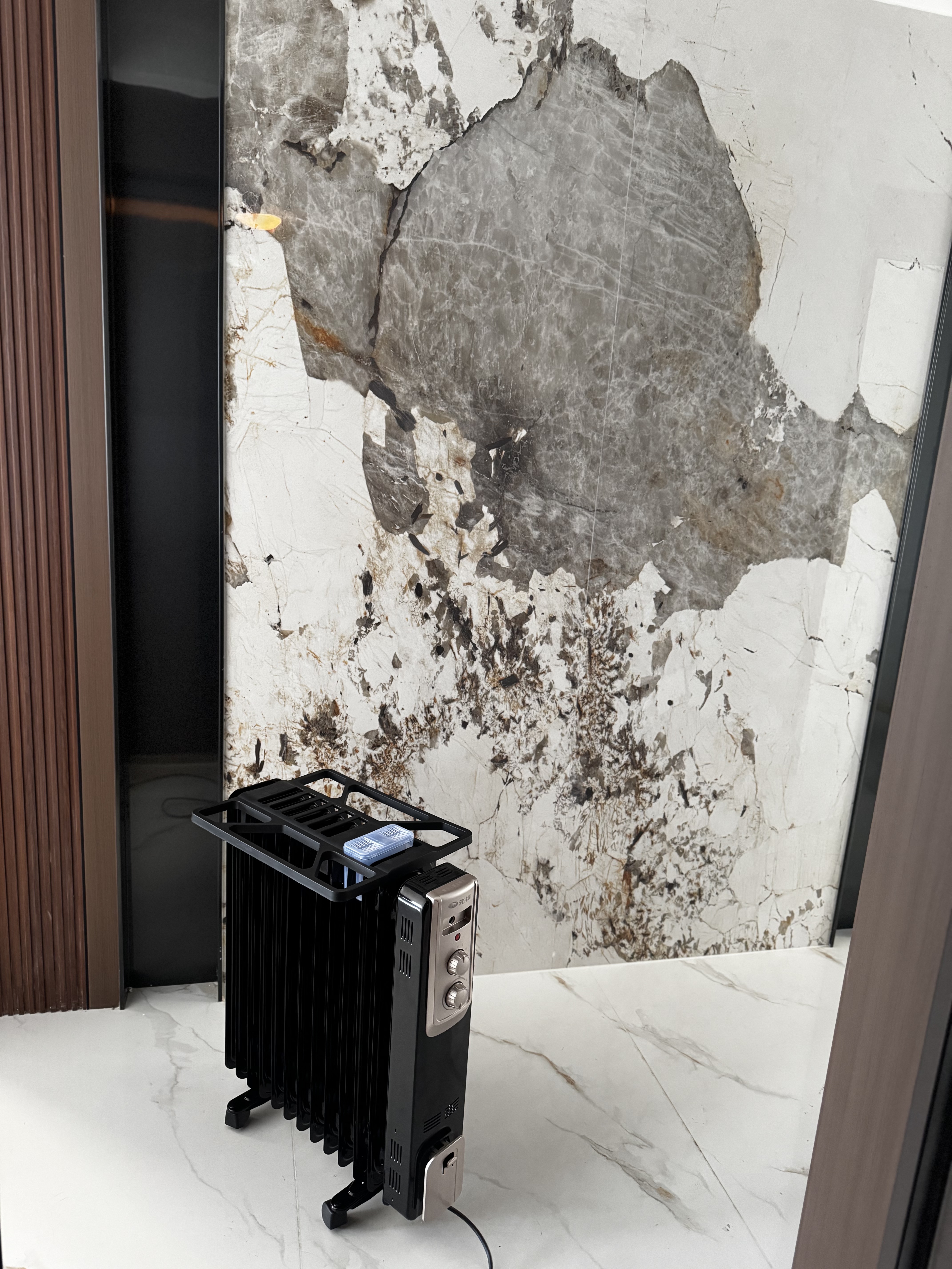 先锋石墨烯取暖器电暖器电暖气片家用电热油汀13片全屋升温智能恒温低噪节能烘衣加湿DYT-Z2 实拍图