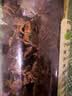 川珍有机八角120g【配料干净】云南富宁大红大料茴香炖卤肉火锅调味料 实拍图