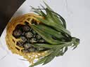 广东徐闻香水菠萝新鲜水果生鲜热带孕妇水果整箱包邮 【限时低价】1个装  净重650g起 实拍图