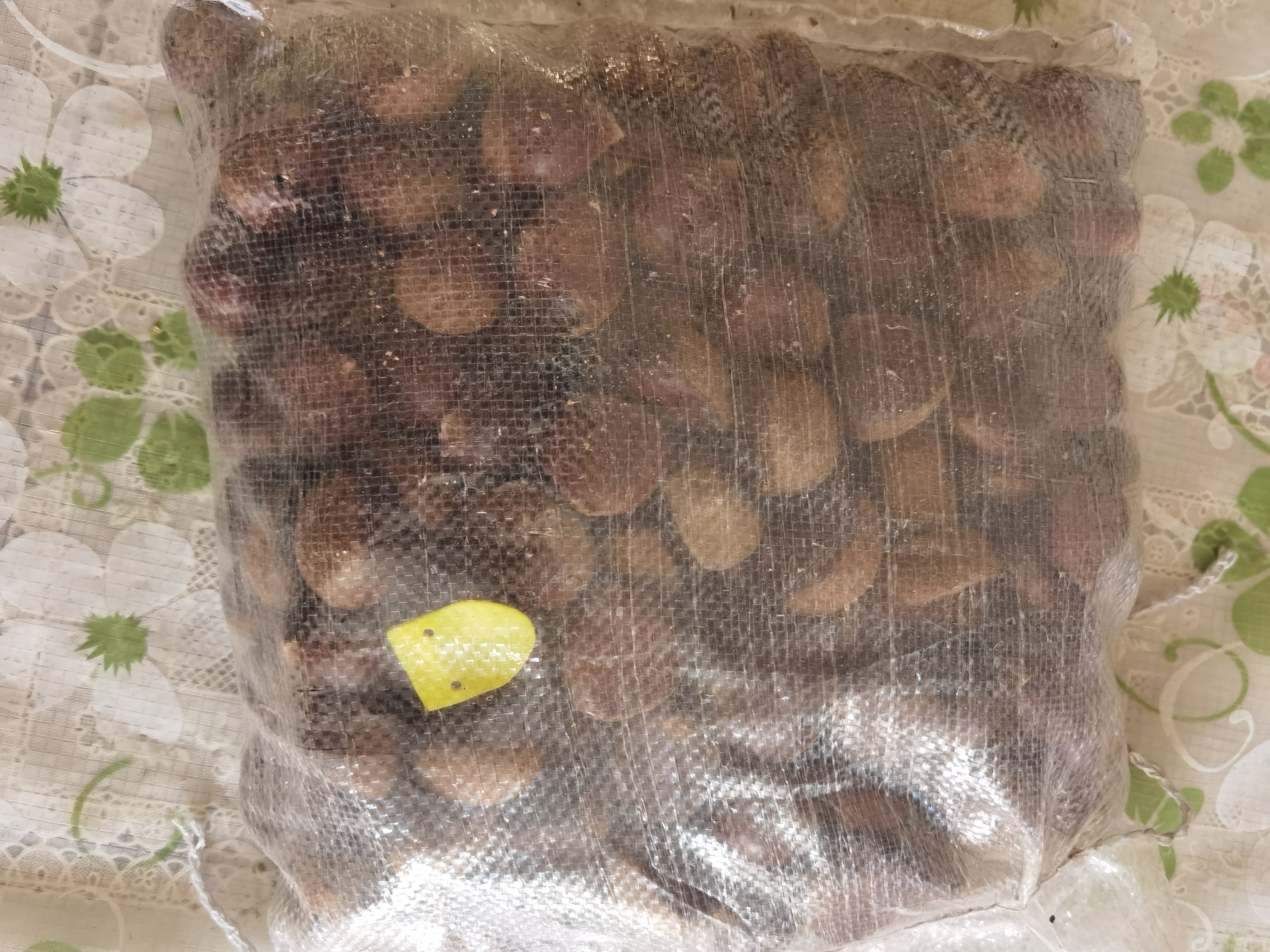【东东买菜】26年高山新鲜板栗红皮板栗香甜软糯煲汤蔬菜生鲜 野生板栗不带刺包  5斤 净重 实拍图