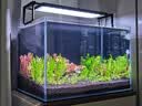 尼特利（NETLEA）水草泥鱼缸净水营养土水族养鱼水藻泥免水洗种植土草缸底砂 1号大师水草泥  8L 实拍图