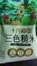 十月稻田 三色糙米 5斤 五谷杂粮米 粗粮粥饭 主食 糙米 黑米 大米搭档 实拍图