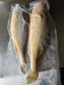三都港 冷冻黄花鱼700g/2条装 大黄鱼深海鱼 生鲜鱼类 海鲜水产中秋礼品 实拍图