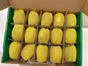 佳沛（zespri）新西兰 金奇异果特大果15粒134-146g猕猴桃中秋节礼品送水果礼盒 实拍图