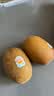 佳沛（zespri）新西兰金奇异果15粒巨大果146-175g猕猴桃中秋节礼品送水果礼盒 实拍图
