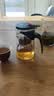 飘逸壶泡茶壶耐热高温玻璃沏茶过滤内胆冲茶器家用茶具套装 飘逸杯500mL1个 实拍图
