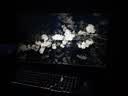 泰坦军团27英寸 双侧入光屏 4K 升级165Hz 双模520Hz超高刷 DyDs0.5ms HDR500 电竞显示器 战魂KG277V PLUS 实拍图