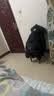 班尼路（Baleno）棉服男款秋冬季加厚立领面包服男士保暖棉衣男棉袄加绒外套男上装 实拍图