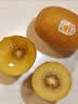 佳沛（zespri）新西兰金奇异果10个装单果重103-114g猕猴桃水果礼盒 实拍图