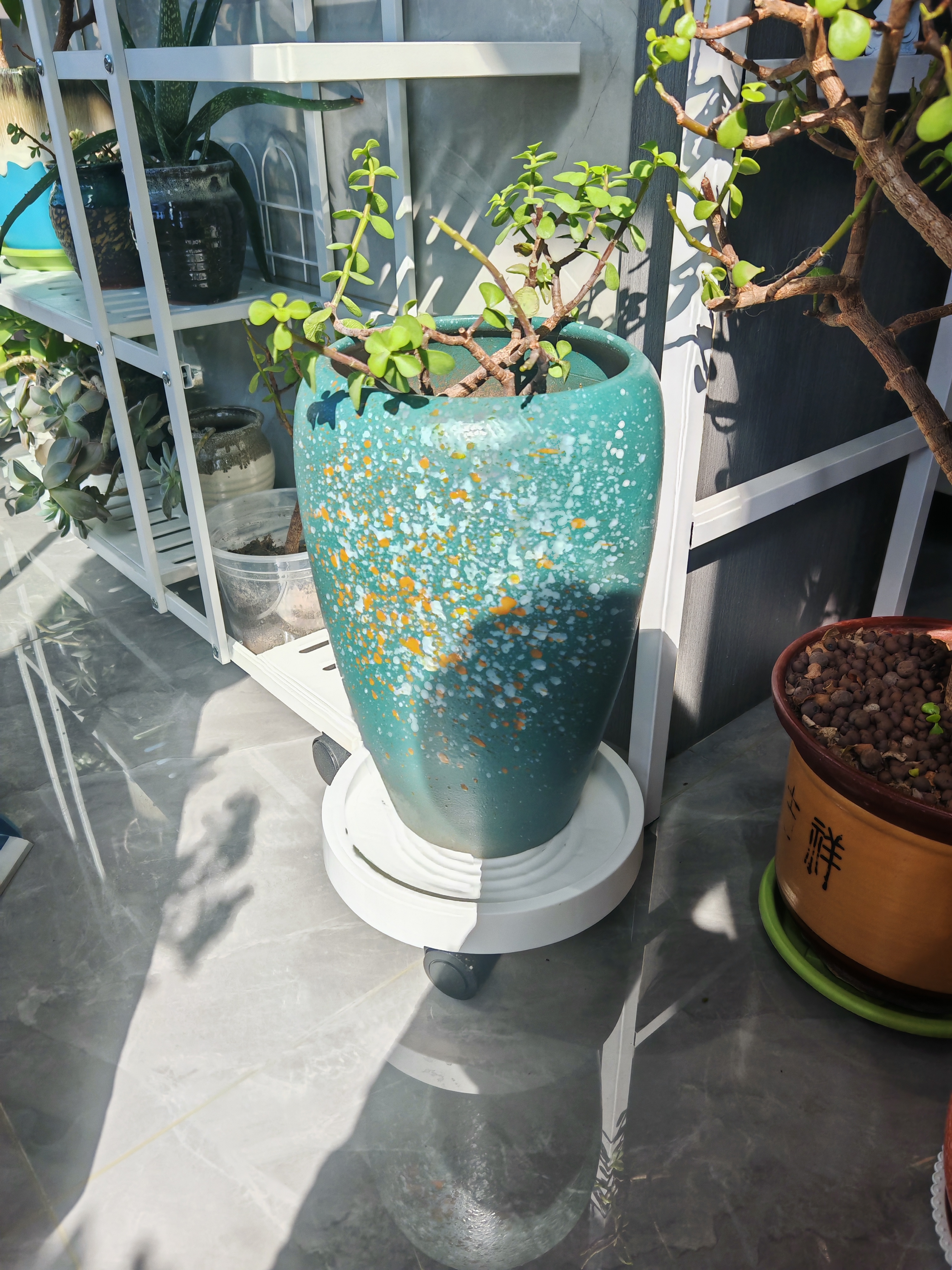 绿盼圆形花盆移动花托盘底座带万向轮轱辘接水22#内径19.6cm 实拍图