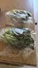 【烧烤季】钟灵山罗马生菜400g 实拍图