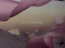 莱珀妮（La Prairie）盈润手霜100ml护肤品礼盒保湿护手霜滋润补水生日礼物送女友 实拍图