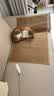 憨憨乐园防剑麻垫猫抓垫猫抓板不掉屑耐抓防猫爪猫垫子入户门地垫用品 实拍图