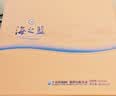 洋河海之蓝42度 480ml*2瓶 礼盒装  绵柔浓香型（2018版）中秋送礼 实拍图