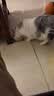 自然光环Halo猫粮成猫【新品】纯鲜肉 健美体态 成猫粮 鱼肉味50g 实拍图
