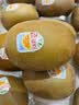 佳沛（zespri）新西兰金奇异果22粒巨大原箱146-175g猕猴桃水果礼盒 实拍图