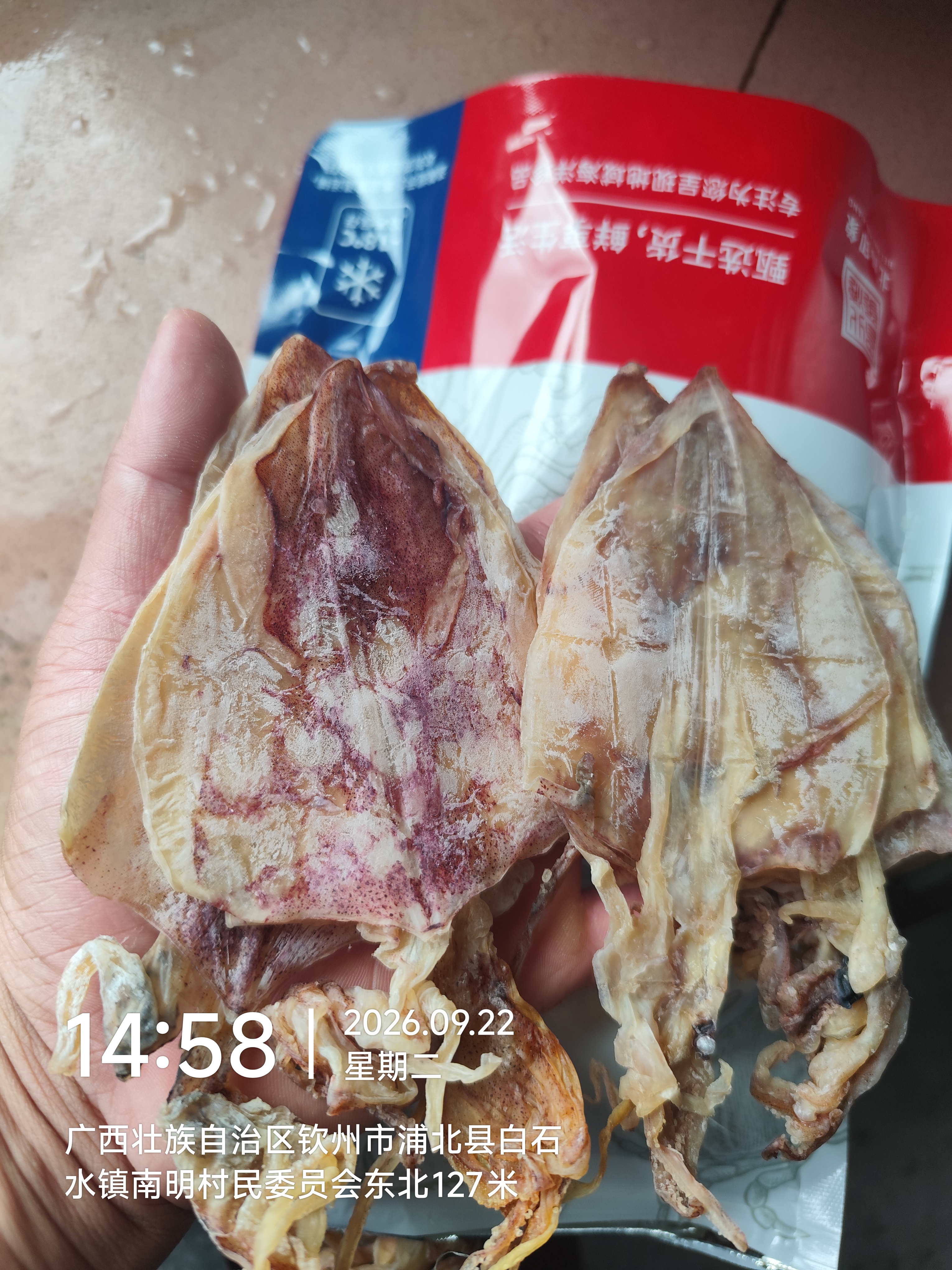 北海印象【北海产地】鱿鱼干A3 500g淡干烧烤手撕芥末干货 节日送礼礼品 实拍图