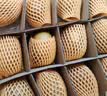佳沛（zespri）新西兰金奇异果12粒特大果124-146g猕猴桃水果礼盒 实拍图