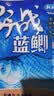 龙王恨（LOONVA）龙王恨野战蓝鲫老版钓鱼饵料老三样饵料正品野钓鱼饵料通杀窝料饵 野战蓝鯽100g【一包】 实拍图