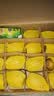 佳沛（zespri）新西兰金奇异果16粒经典果88-103g猕猴桃中秋节礼品送水果礼盒 实拍图