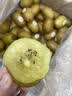 佳沛（zespri）新西兰金奇异果10粒巨大果146-175g猕猴桃中秋节礼品送水果礼盒 实拍图
