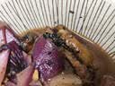 微山湖生态黄鳝鲜活现杀鳝段淡水长鱼肉特大鳝筒炖汤老人补钙净重 鳝鱼段（3斤） 实拍图
