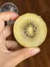 佳沛（zespri）新西兰金奇异果10个装单果重103-114g猕猴桃水果礼盒 实拍图