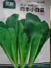 北蔬萝卜白菜籽香菜菠菜胡萝卜生菜秋冬菜种 10种秋冬季蔬菜种子套餐 实拍图
