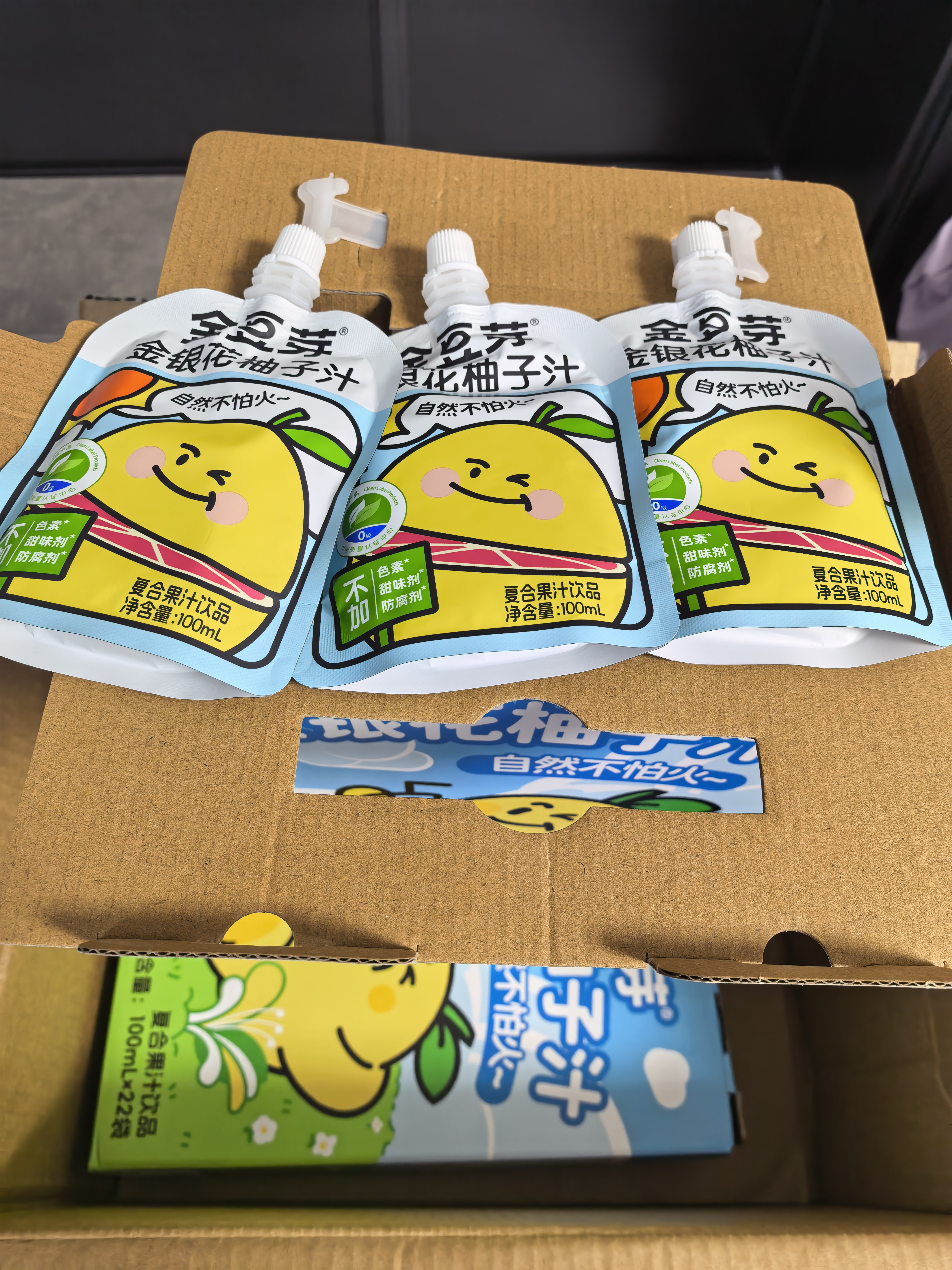 金豆芽金银花柚子汁儿童饮品户外便携小孩果汁饮料送礼礼盒100ml*22袋 实拍图