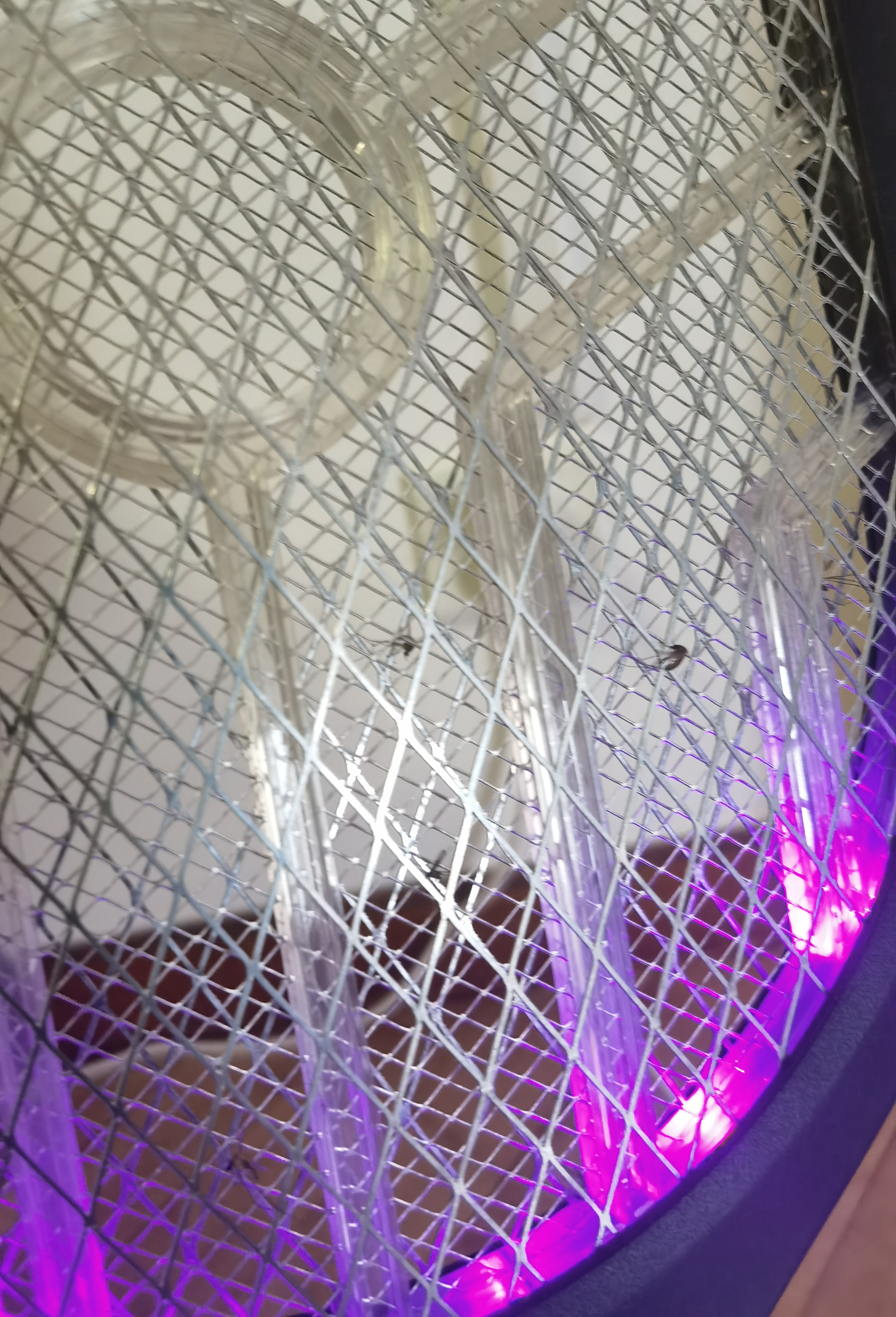 奥克斯（AUX）【高压瞬杀丨全屋无蚊】电蚊拍充电式高压灭蚊拍驱蚊神器电苍蝇拍 实拍图