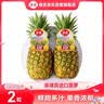 佳农菲律宾进口菠萝2个装 凤梨 单果净重2斤 生鲜水果送礼 实拍图