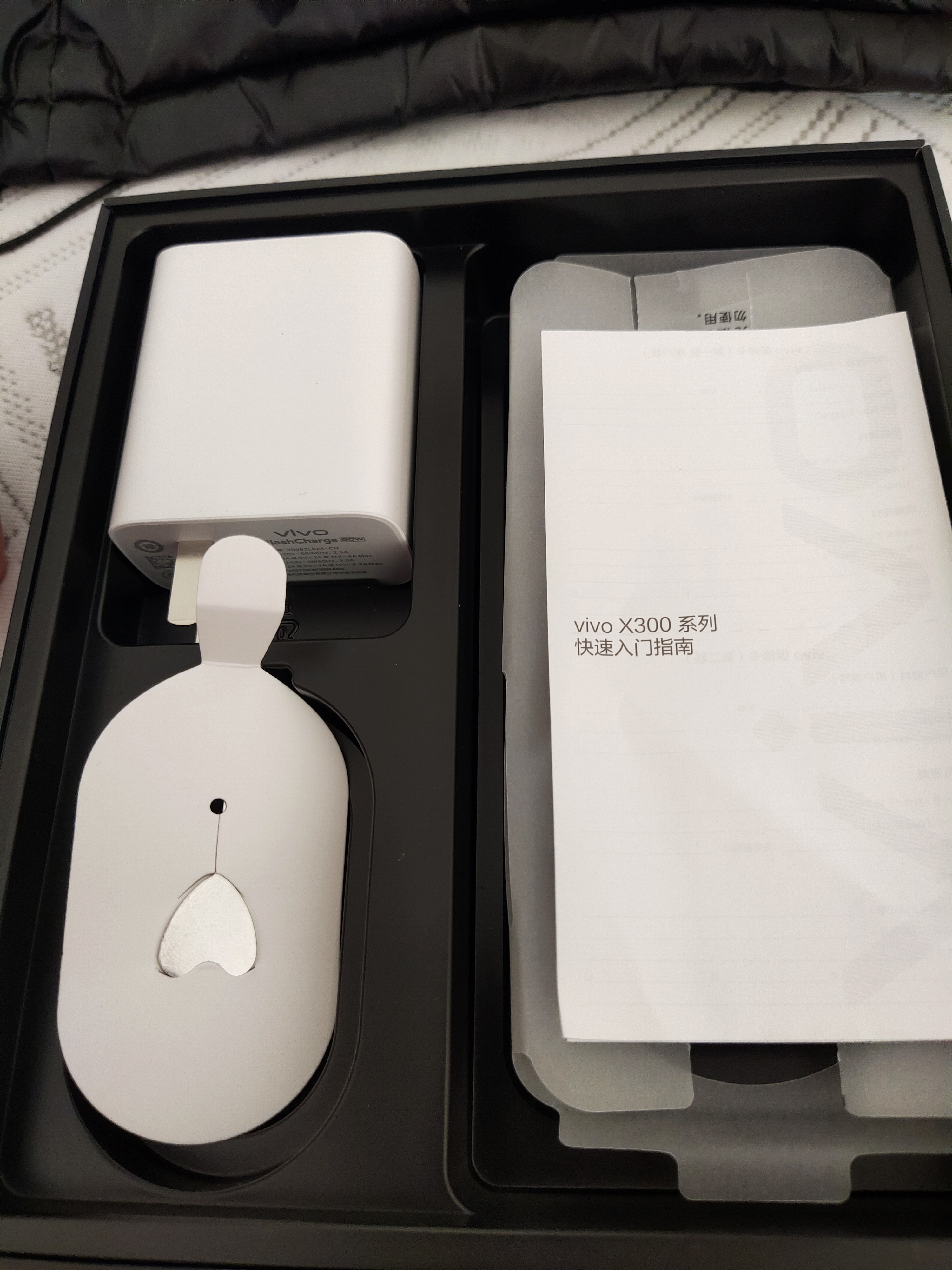 vivo X300  12GB+512GB 纯粹黑 蔡司2亿超级主摄 蔡司APO超级长焦 5年持久流畅OriginOS 6 拍照 AI手机 实拍图