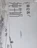 蒙牛特仑苏脱脂纯牛奶250ml*16盒 健身减脂 中秋送礼礼盒 实拍图