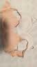 蕉内【马思纯同款】511S女士内衣无痕小胸微聚拢透气无钢圈文胸罩夏季 【2件|V领】自然肤+风铃灰 M （70C/75A/75B） 实拍图
